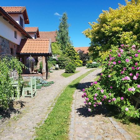 Agroturystyka Karczma Nad Jarem Mierzejewo Villa Mierzejewo  Buitenkant foto